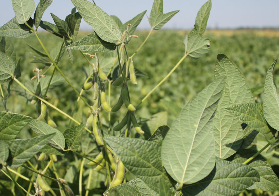 agri-news.ru