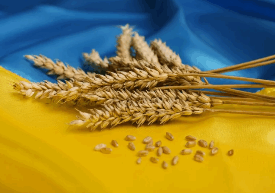 украина румын