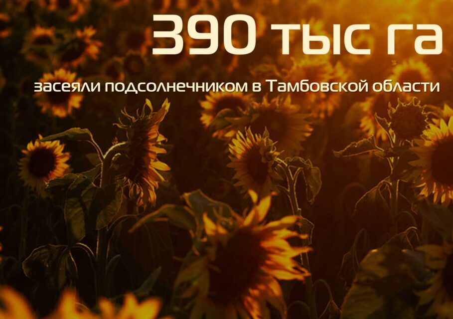 тамбов уборка
